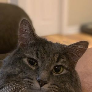 Meet your Posher, Adisha